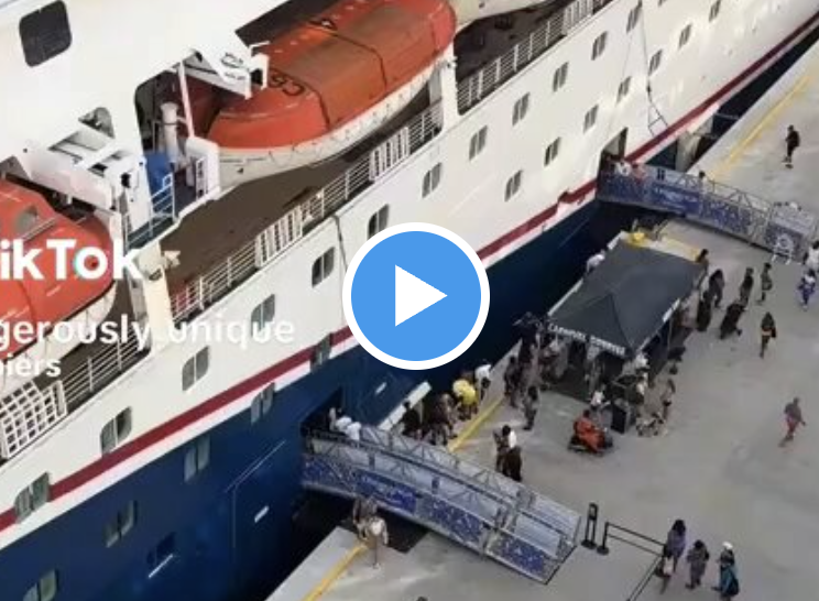 Heart Stopping Video: Mom Dives In After Child Falls Between Cruise Ship, Dock